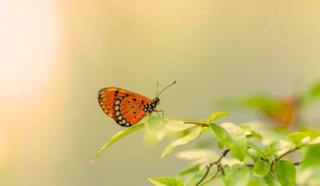 10 Amazing Facts About Animals